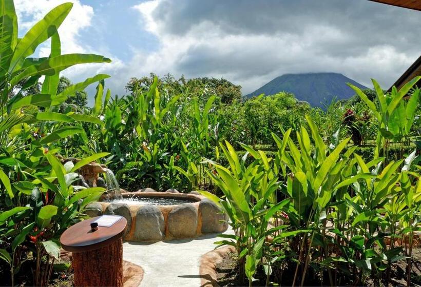 Полулюкс с Бассейном, Volcano Lodge, Hotel & Thermal Experience