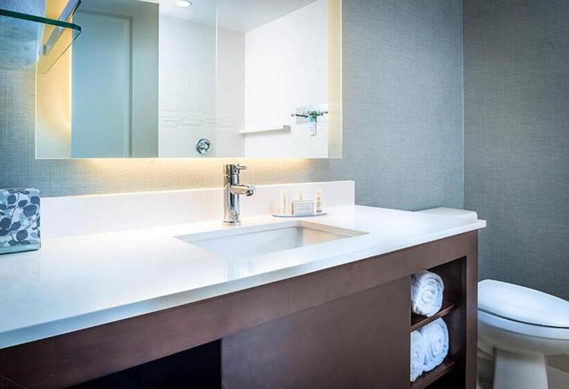 스위트, Residence Inn By Marriott Columbus Polaris