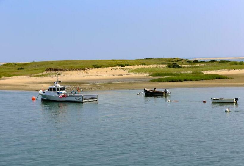 Студия Стандарт, Provincetown Paradise