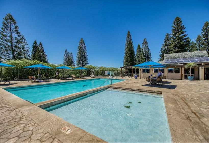 Апартаменты 2 Спальни, Greens At Waikoloa L101