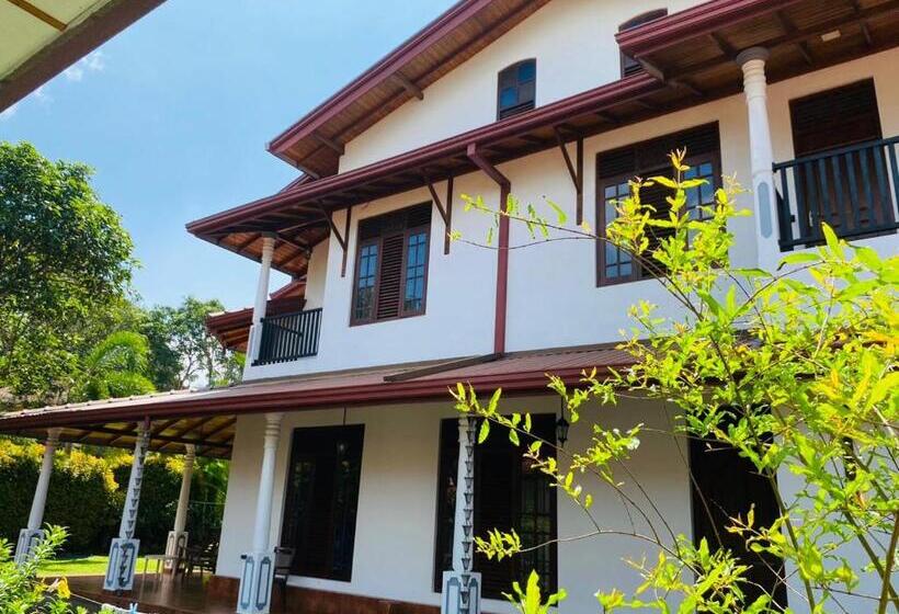 Номер Стандарт, White Villa