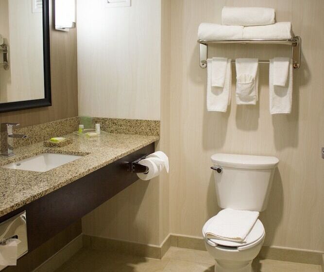 スタンダードルーム, Holiday Inn Hotel & Suites Hermosillo Aeropuerto, An Ihg