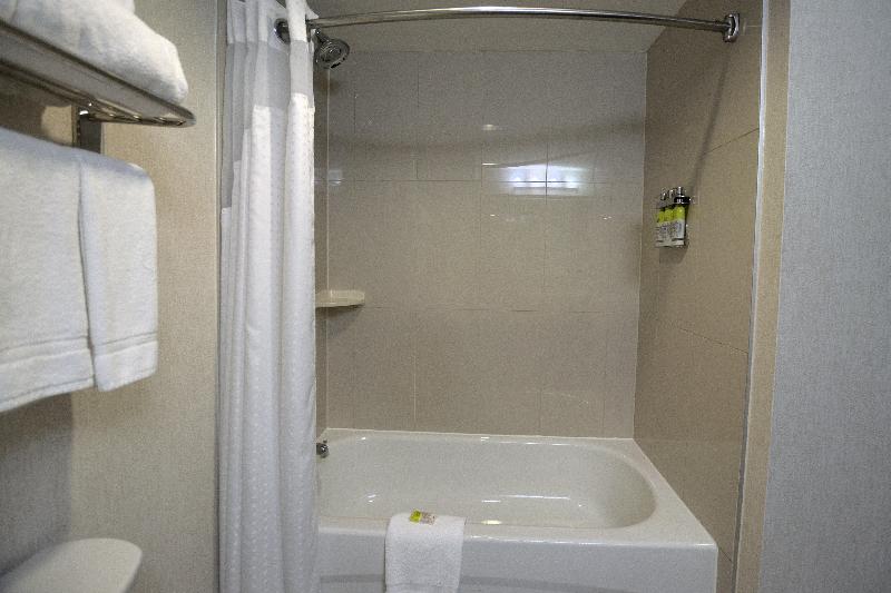 キングサイズベッドのスタンダードルーム, Holiday Inn Express & Suites Ottawa East Orleans, An Ihg