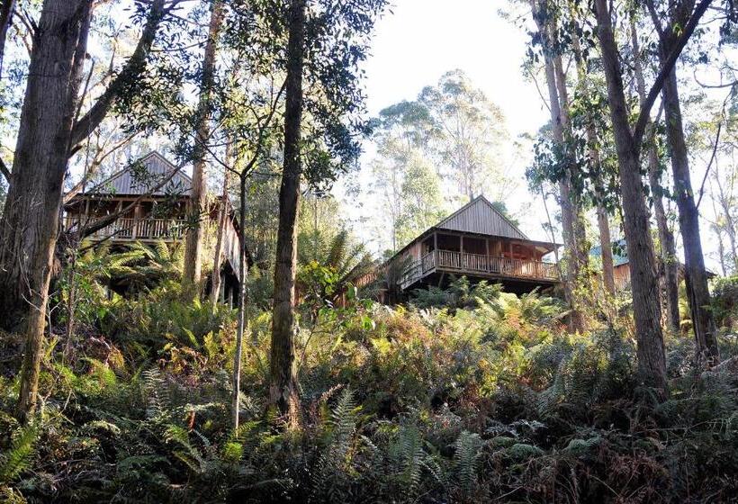 シャレー1寝室, Lemonthyme Wilderness Retreat
