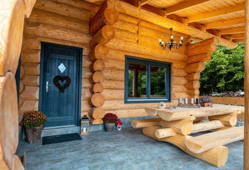 Дом 4 Спальни, Harghita Log Houses