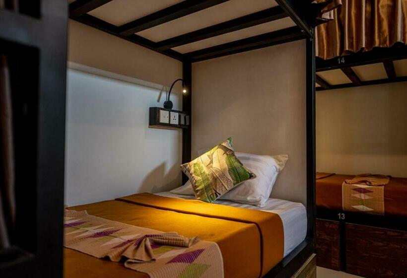سرير فى غرفة مشتركه, The Moon Hostel