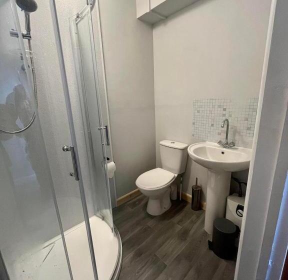 Номер Deluxe Кровать Кинг, Y Teifi   Room Only