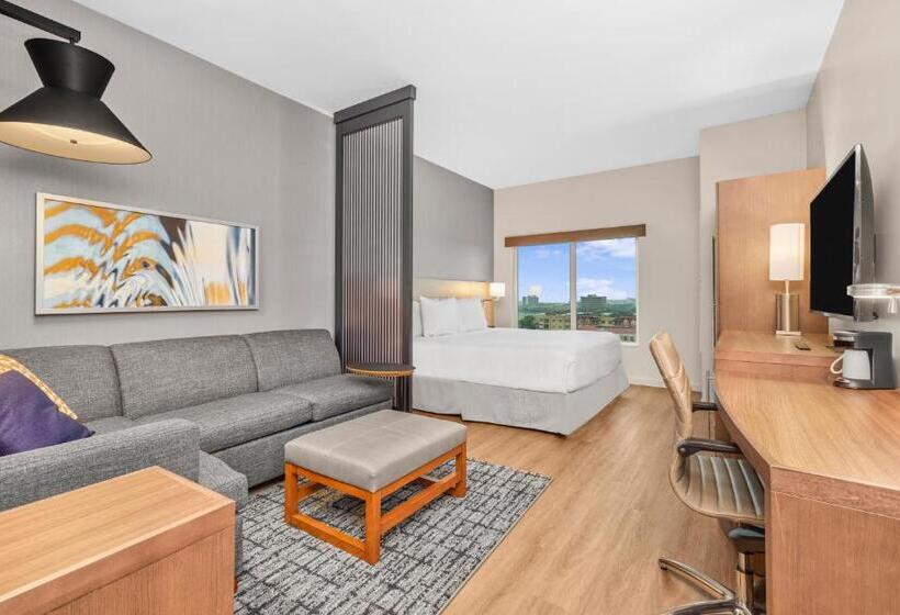 Quarto Estandar para Deficientes Físicos, Hyatt Place Houston Medical Center