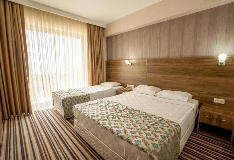 Standardzimmer, Ergin