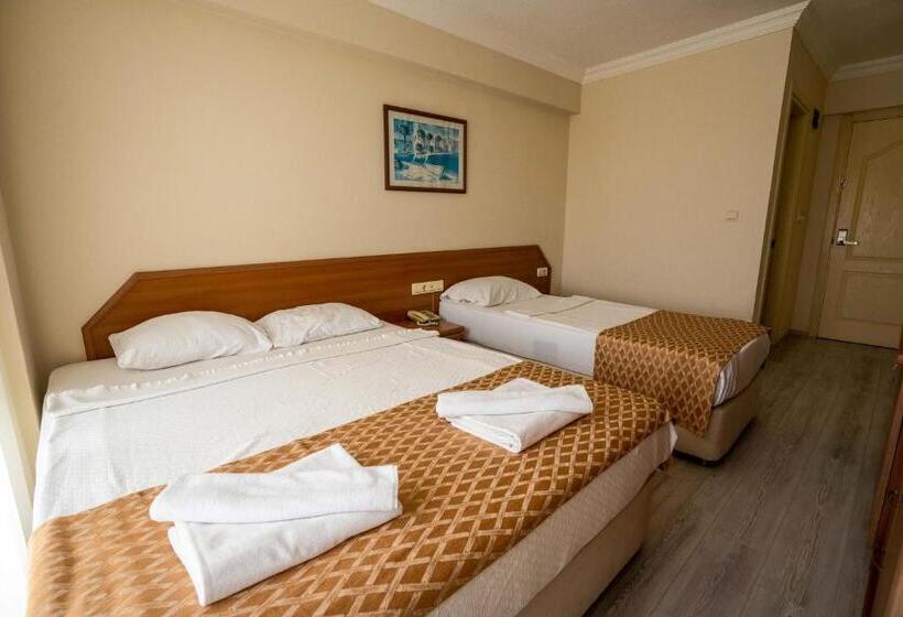 Standardzimmer, Ergin