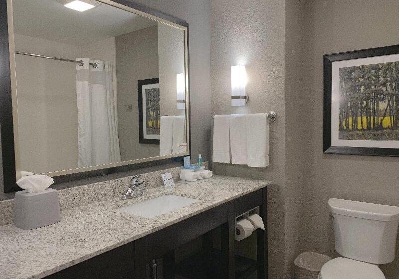 이그제큐티브 스위트, Holiday Inn Express And Suites Madison Central, An Ihg