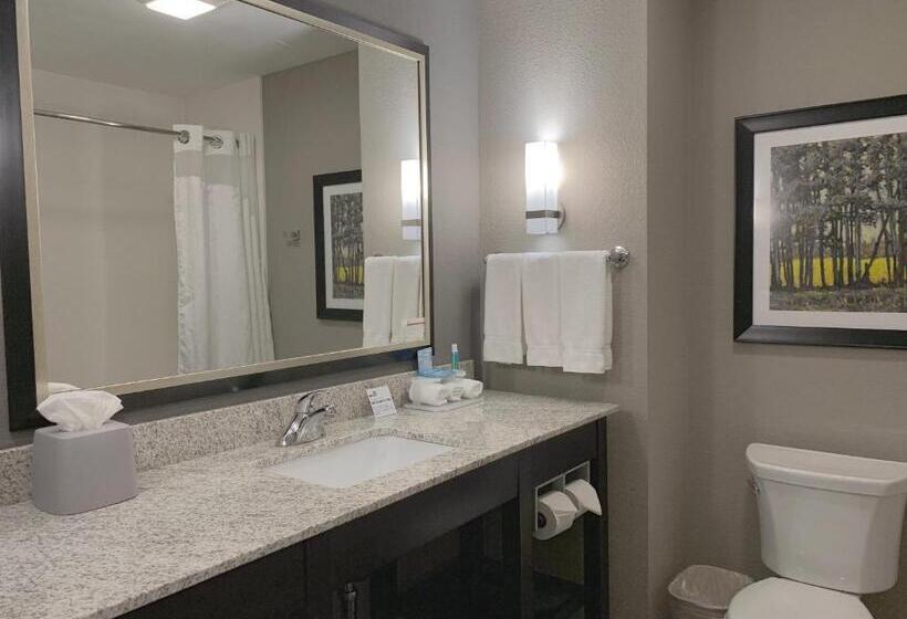 스탠다드 룸 킹사이즈 침대, Holiday Inn Express And Suites Madison Central, An Ihg