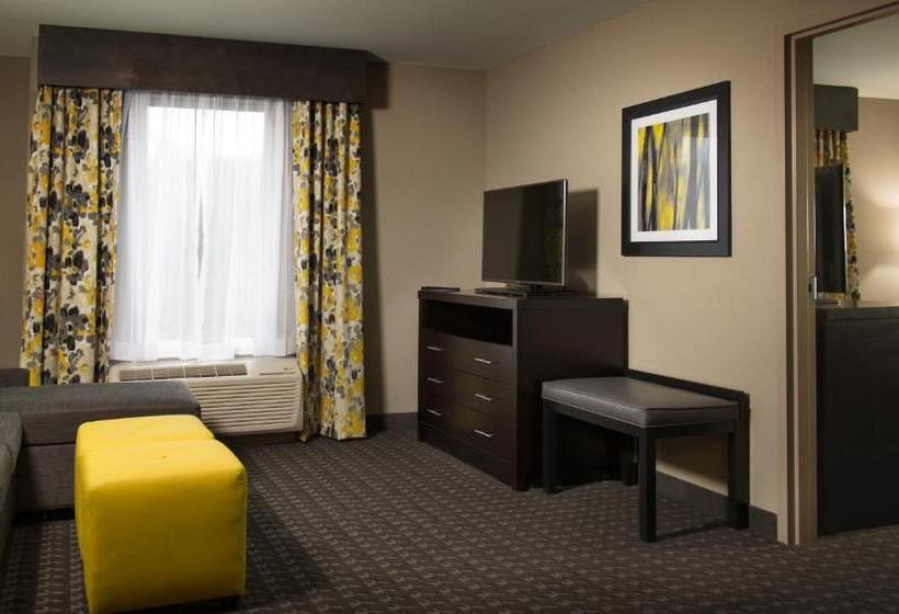 이그제큐티브 스위트, Holiday Inn Express And Suites Madison Central, An Ihg