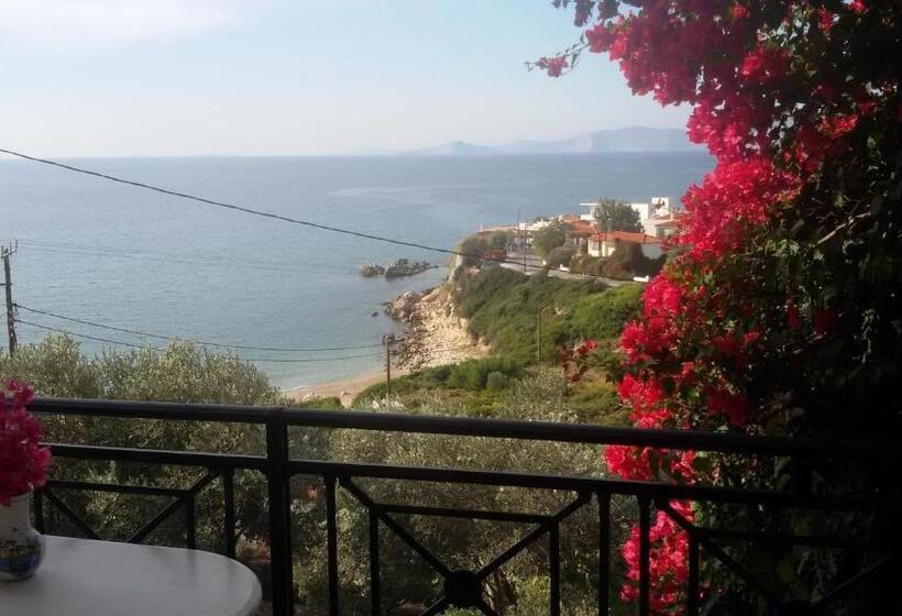 Apartamento 1 Dormitório, Thalina