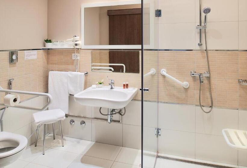 اتاق استاندارد برای معلولان, Medjugorje Hotel & Spa