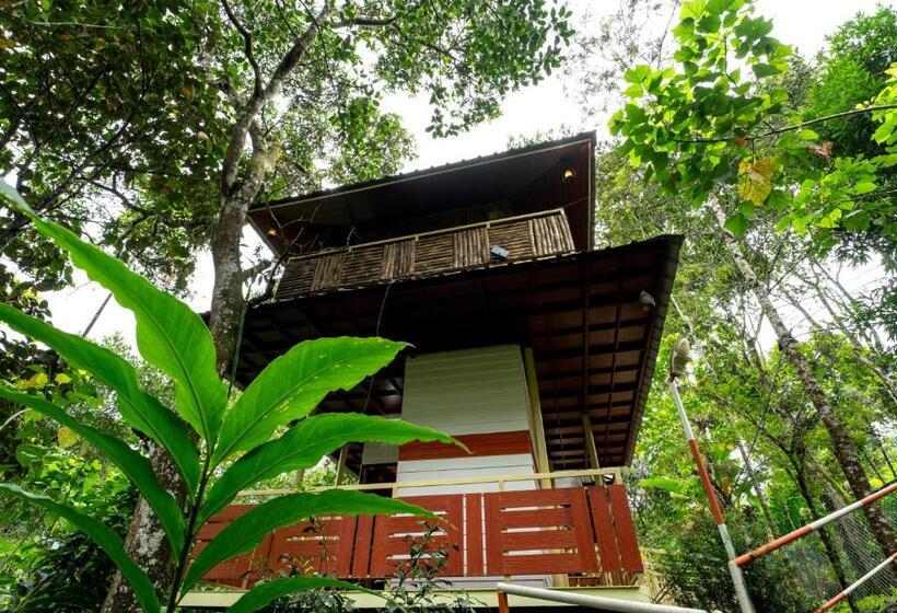 Habitació Deluxe, Chalona Hill View