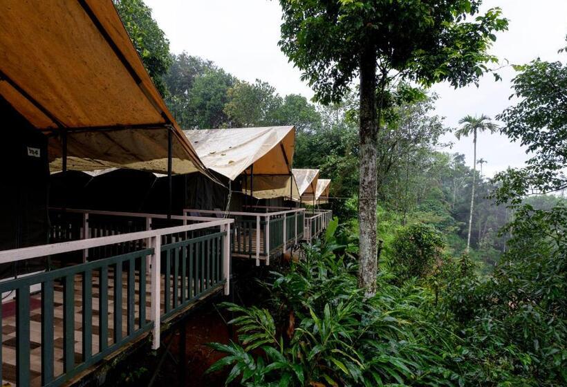 Tienda Estándar, Chalona Hill View