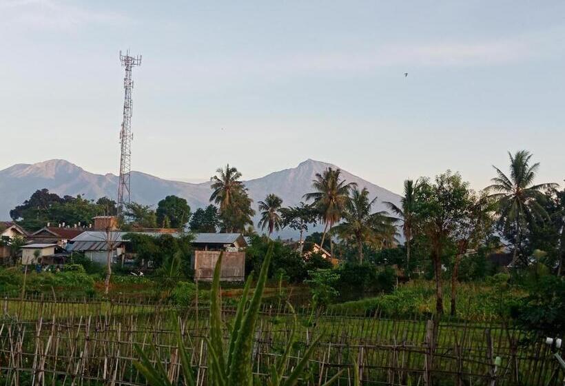 Номер Basic, Rinjani Terrace Cottage