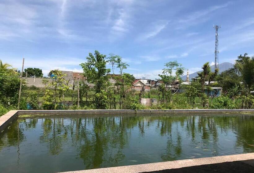 Номер Стандарт Вид на Бассейн, Rinjani Terrace Cottage