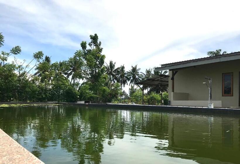 Номер Стандарт Вид на Бассейн, Rinjani Terrace Cottage
