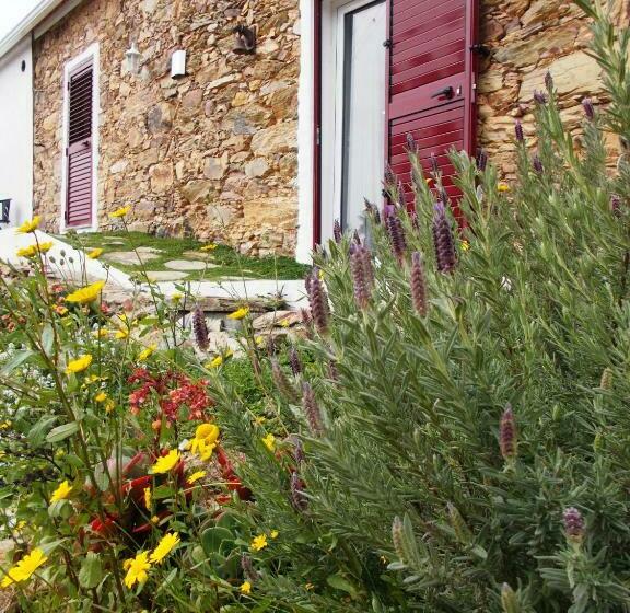 스탠다드 스튜디오, Casas De Campo De Vale De Junco