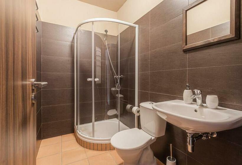 Трехместный Номер Deluxe, Buškovský Mlýn 1580