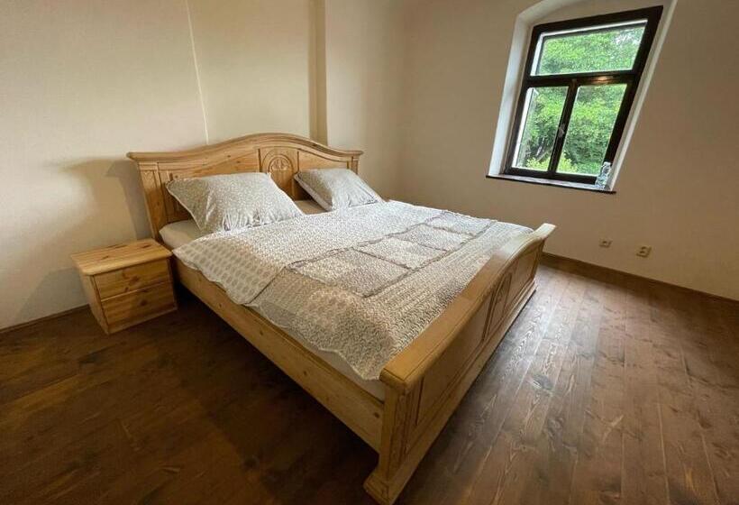 Апартаменты Deluxe 1 Спальня, Buškovský Mlýn 1580