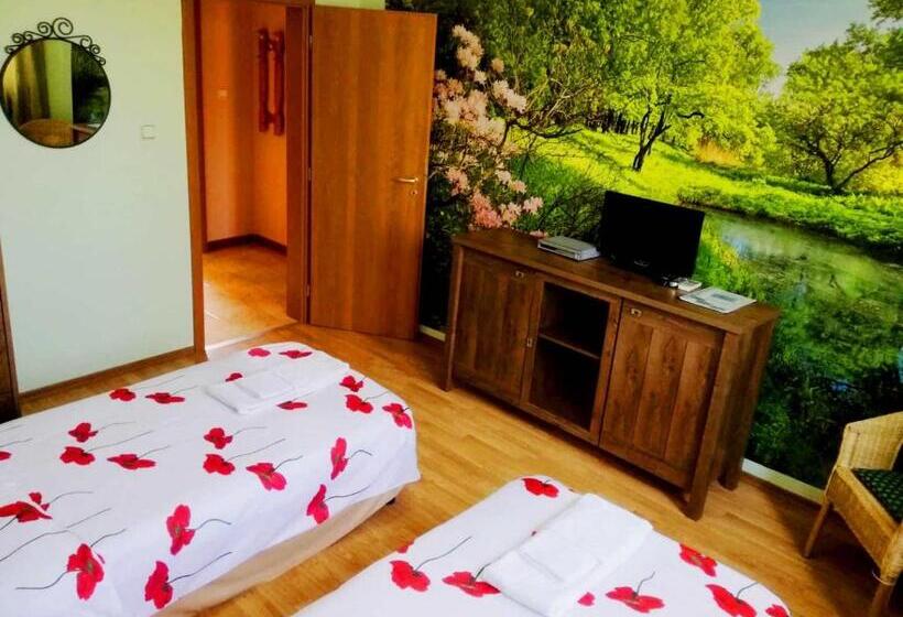 Апартаменты 1 Спальня Вид на Бассейн, Guest House Misha
