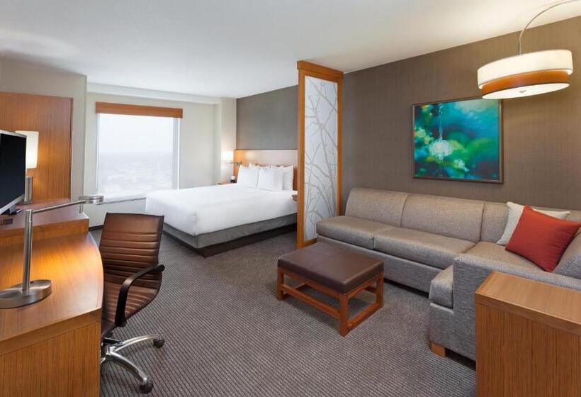 اتاق استاندارد با تخت بزرگ, Hyatt Place Manati
