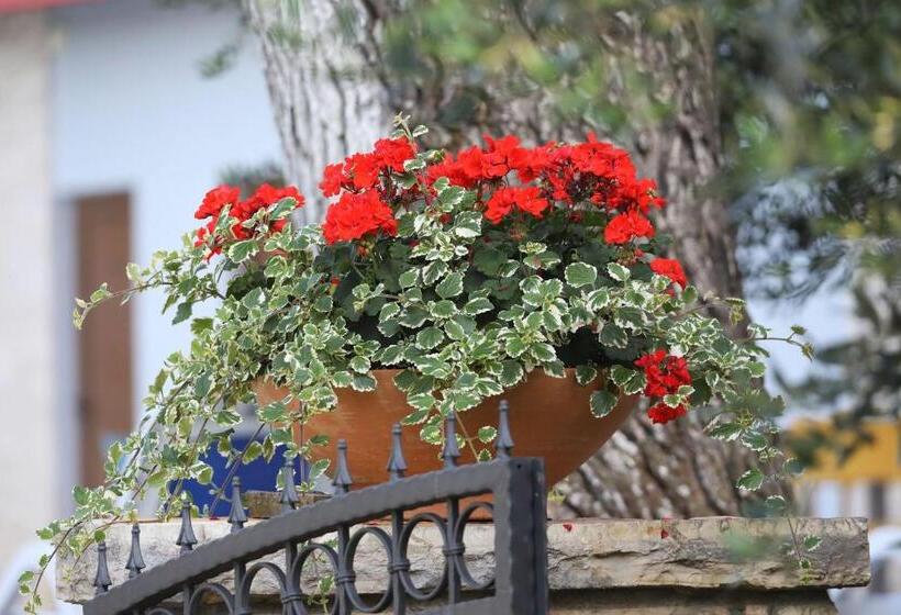 اتاق استاندارد, Mediterranean Village San Antonio