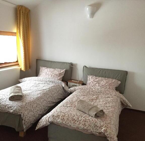 Номер Deluxe с Балконом, Casa De Vacanta Saru Dornei