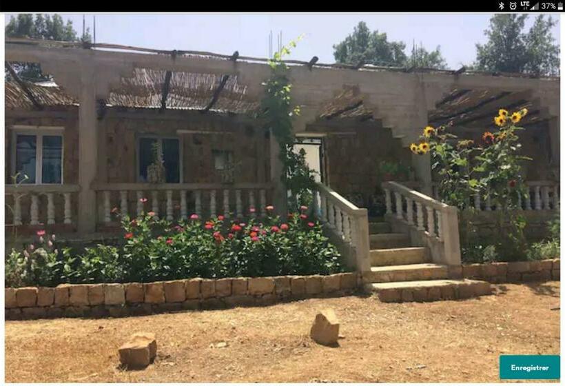 Номер Стандарт, Maison D Hôtes Abou Hachem