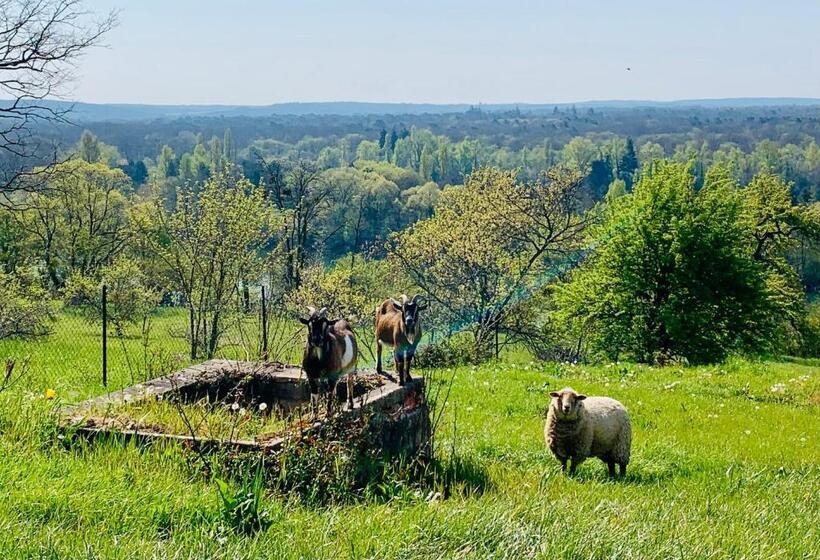 Апартаменты 1 Спальня с Террасой, Résidence Belle Vue