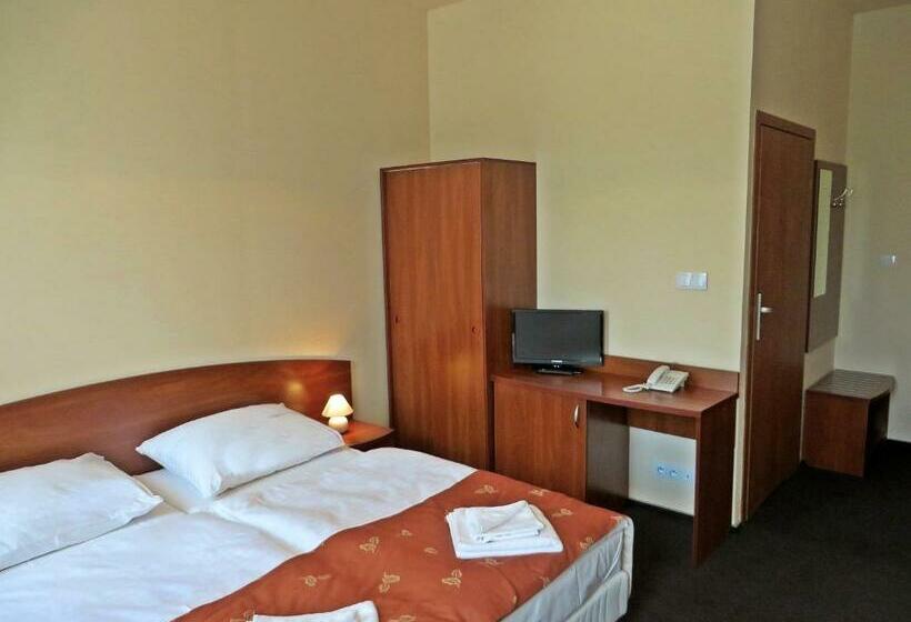 Номер Стандарт, City Apartments Protos