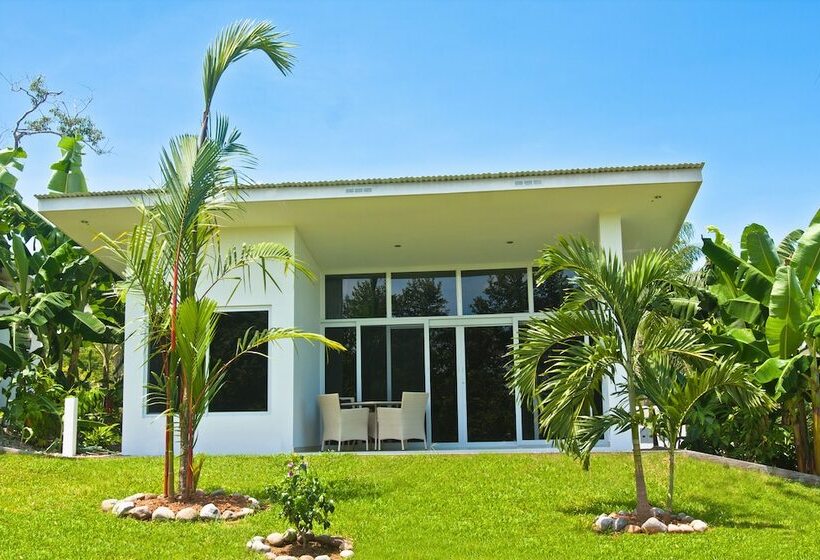 Bungalow Deluxe, Bocas Del Mar