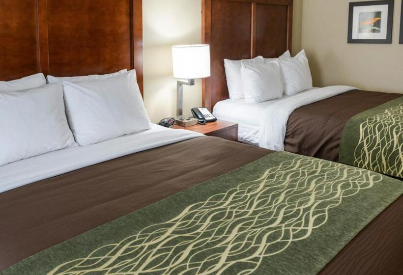 장애인을 위한 스위트, Comfort Inn & Suites West   Medical Center
