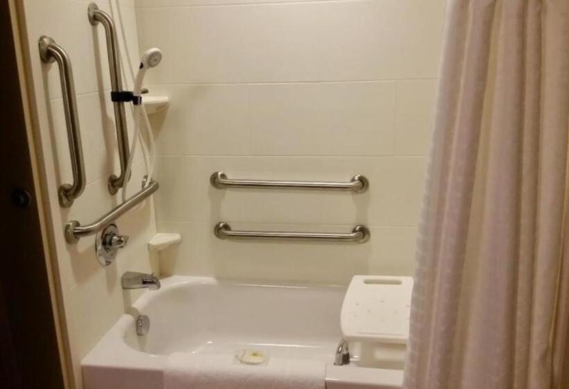 장애인을 위한 킹사이즈 침대 스탠다드 룸, Comfort Inn & Suites West   Medical Center