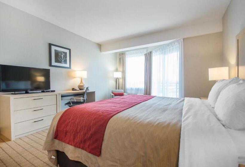 キングサイズベッドのスタンダードルーム, Comfort Inn & Suites