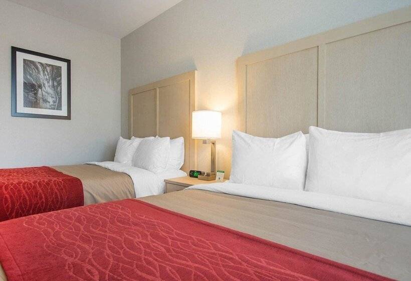 ２ダブルベッドのスタンダードルーム, Comfort Inn & Suites