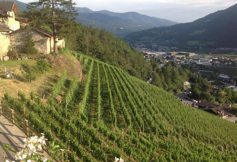 Апартаменты 1 Спальня с Видом, Buehlerhof Agriturismo, Obst &weingut, Urlaub Mit Hund, Pferde, Bauernhof, Brixen