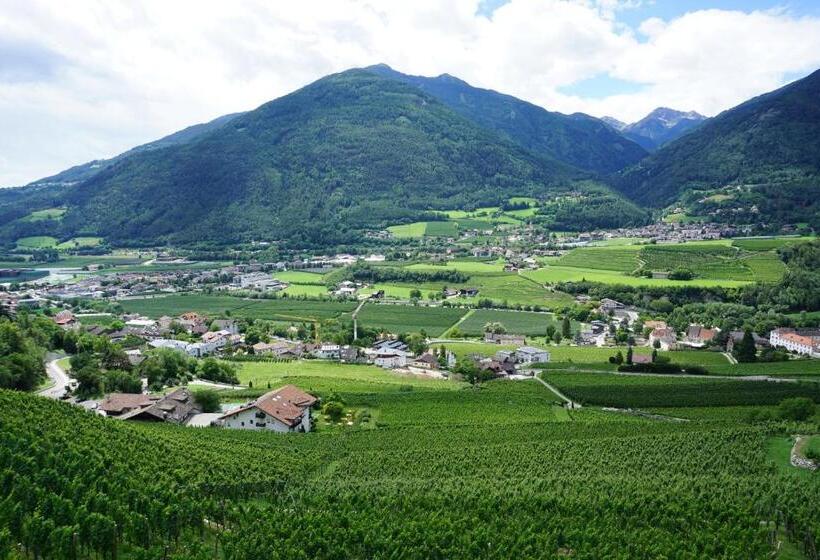 Номер Стандарт Вид на Горы, Buehlerhof Agriturismo, Obst &weingut, Urlaub Mit Hund, Pferde, Bauernhof, Brixen