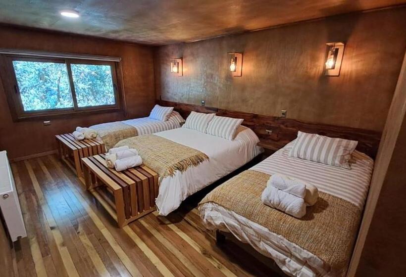 Четырехместный Номер Стандарт, Illi Lodge & Hostel