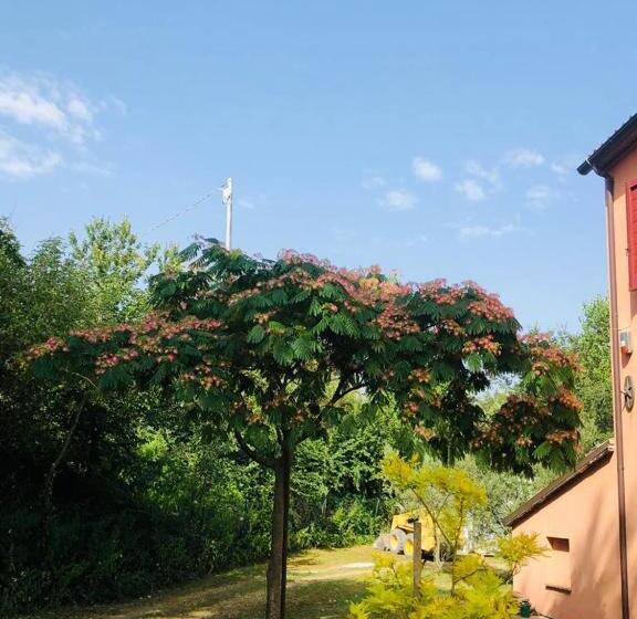 Standard room with outdoor bath, Casale Il Girasole