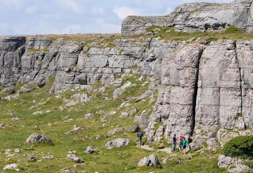 Студио Стандарт с Видом, Into The Burren