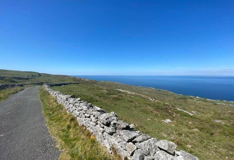 Четырехместный Номер Стандарт, Into The Burren