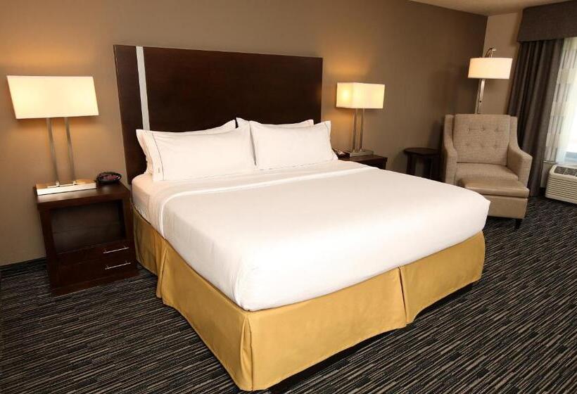 Номер Стандарт Кровать Кинг Адаптированный для Инвалидов, Holiday Inn Express & Suites Omaha South Ralston Arena, An Ihg