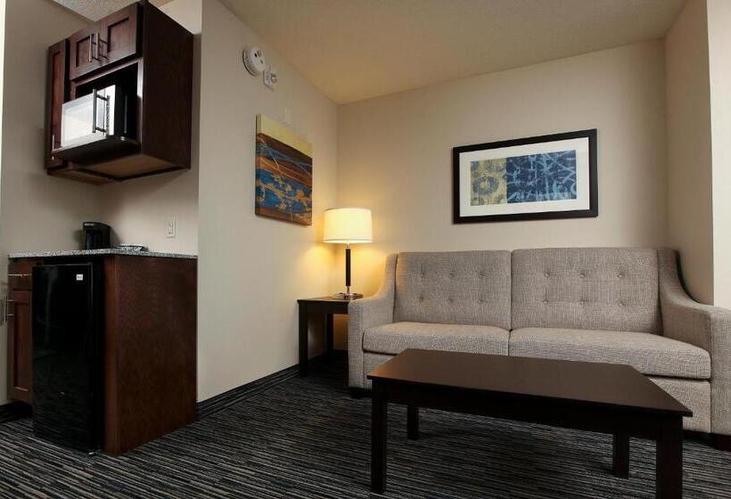 Люкс Адаптированный для Инвалидов, Holiday Inn Express & Suites Omaha South Ralston Arena, An Ihg