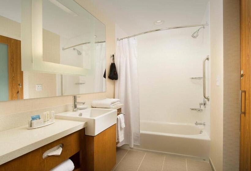 스탠다드 스튜디오 킹침대, Springhill Suites By Marriott Bridgeport Clarksburg
