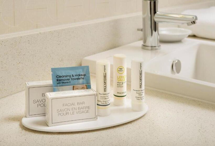 스탠다드 스튜디오, Springhill Suites By Marriott Bridgeport Clarksburg