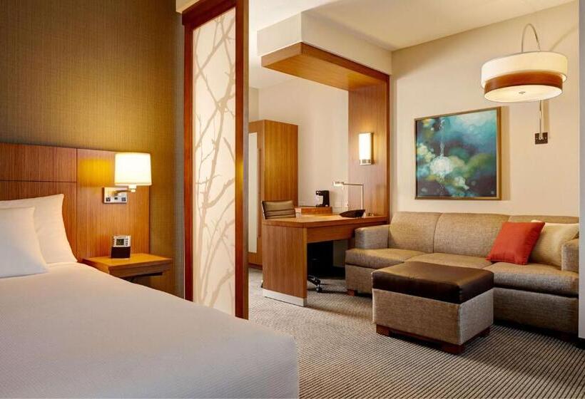 Стандартный Номер Кровать Кинг, Hyatt Place Canton